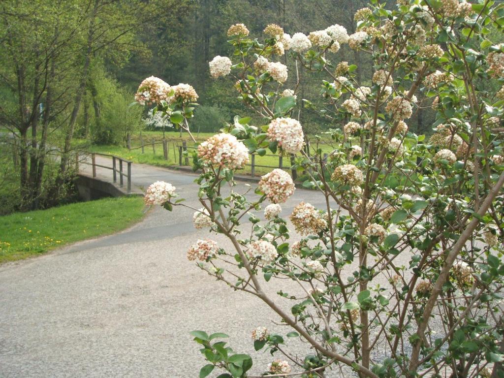 Gasthof & Landhotel Ohrnbachtal Weilbach Exterior foto